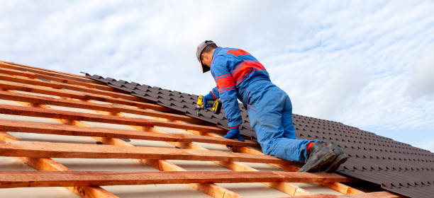 Best Gutter Installation and Repair  in Oro Valley, AZ